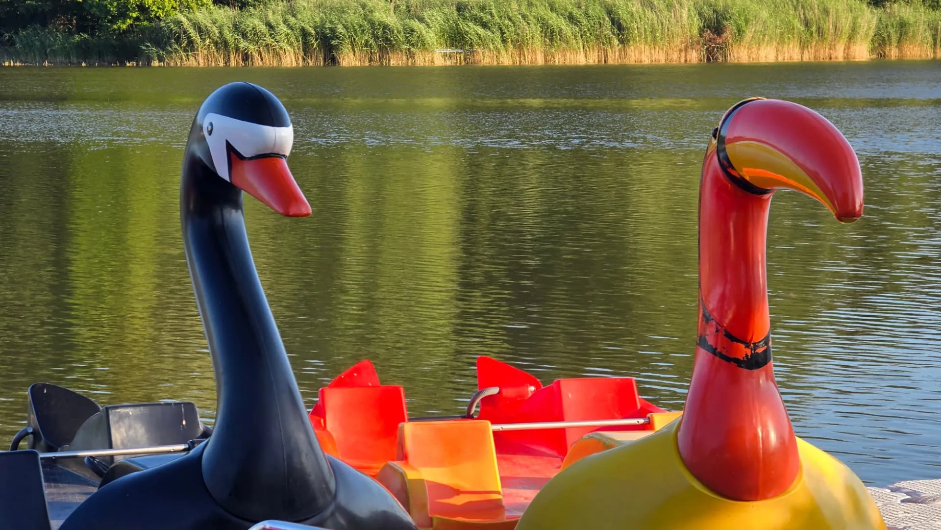 Bootsverleih mit Tretbooten und Kajaks am Gederner See