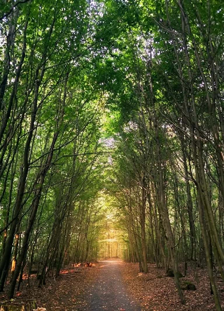 Rundweg um den Gederner See