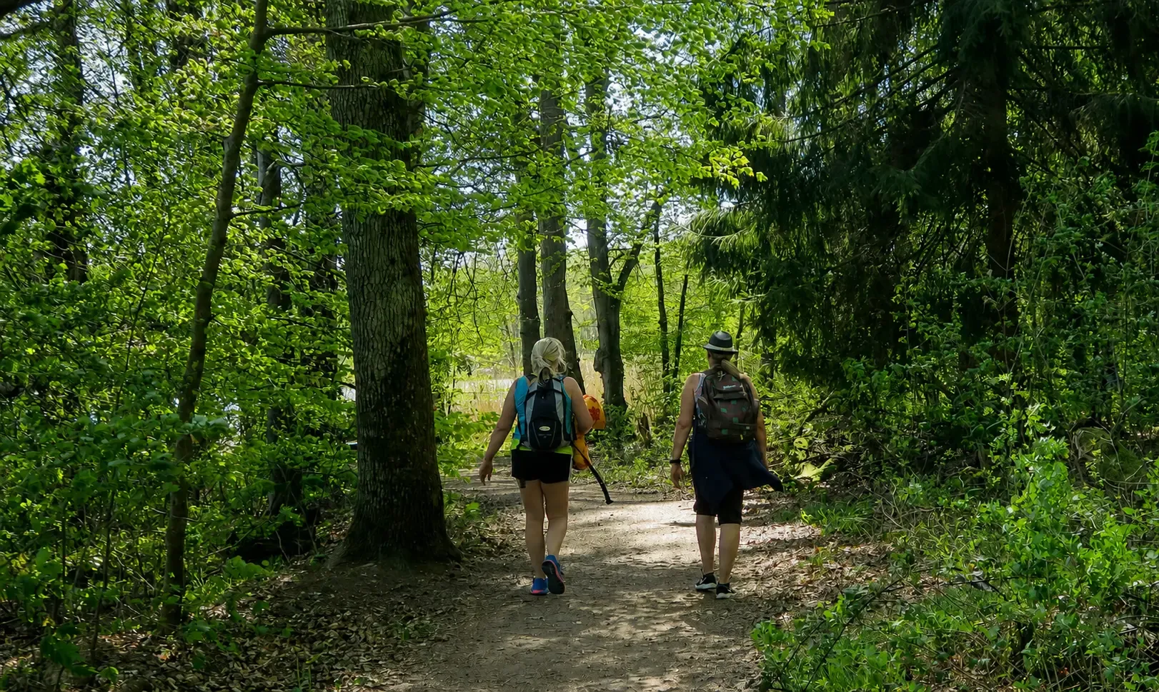Rundweg um den Gederner See