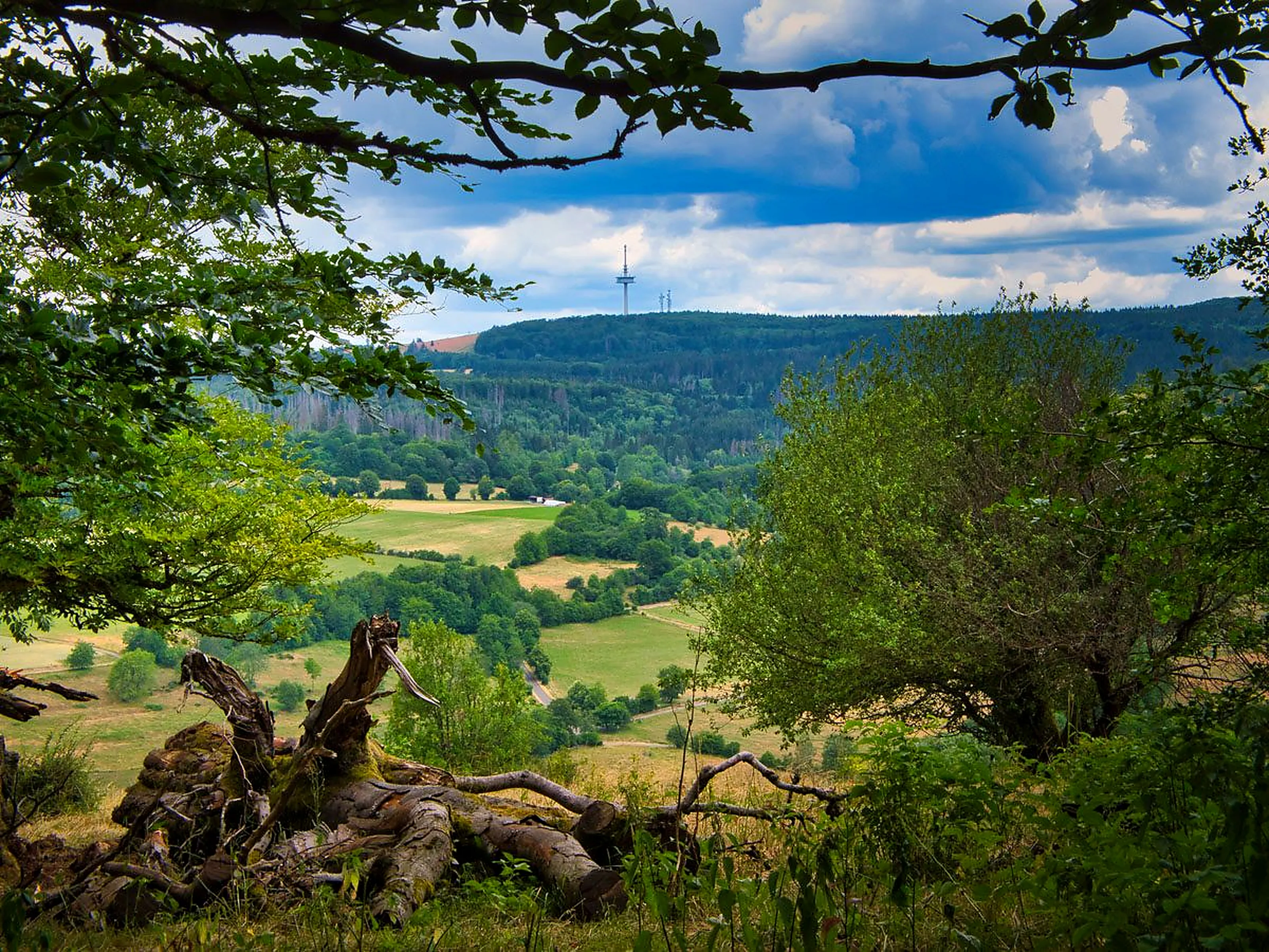 Landschaft im Naturpark Hoher Vogelsberg
