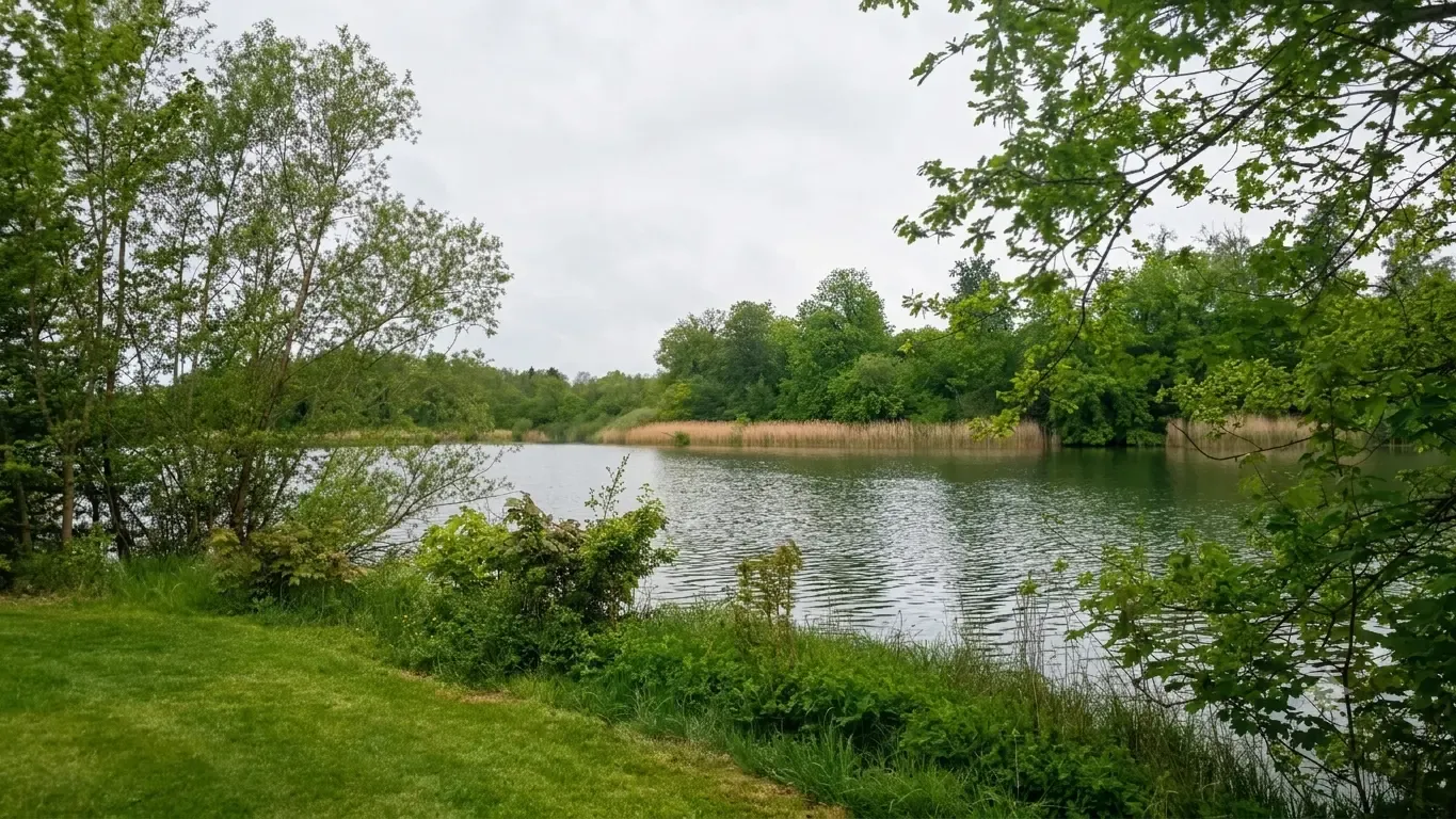 Campingbereich Seewiese mit Stellplätzen und Blick auf den Gederner See