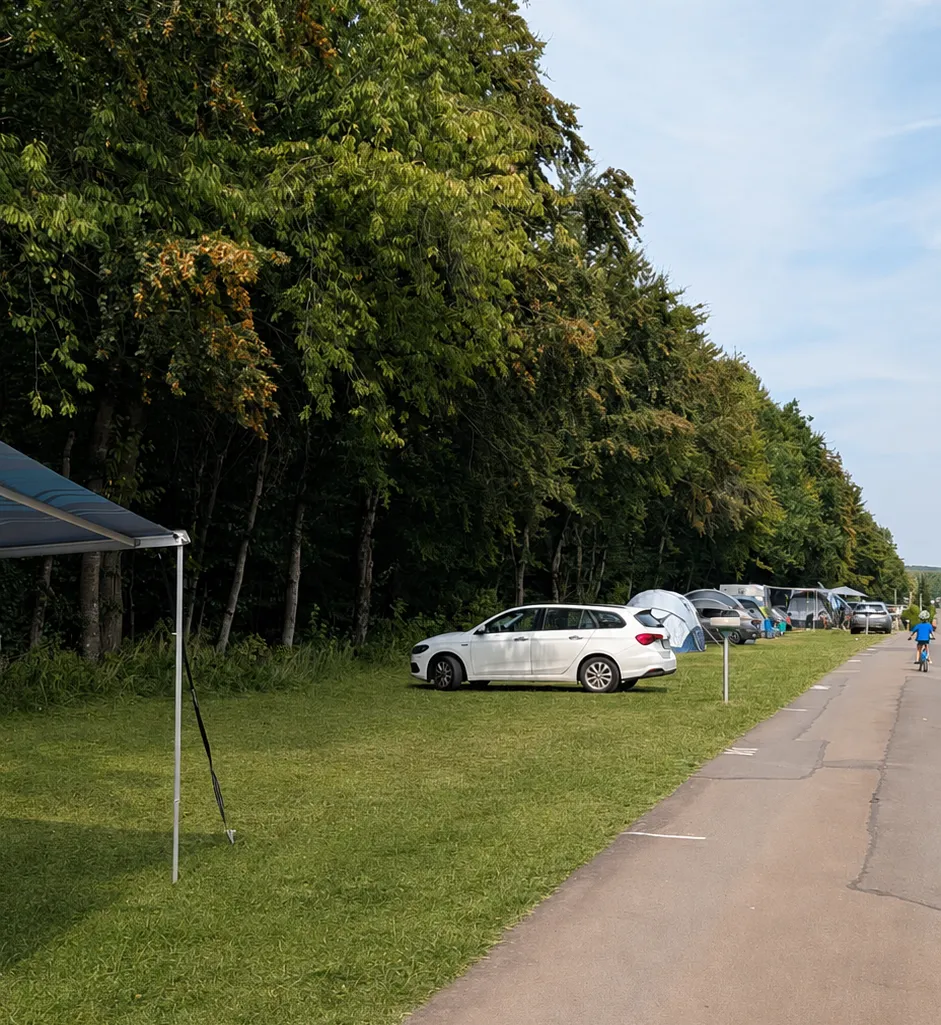 Campingbereich Nachtweide mit parzellierten Stellplätzen am Waldrand