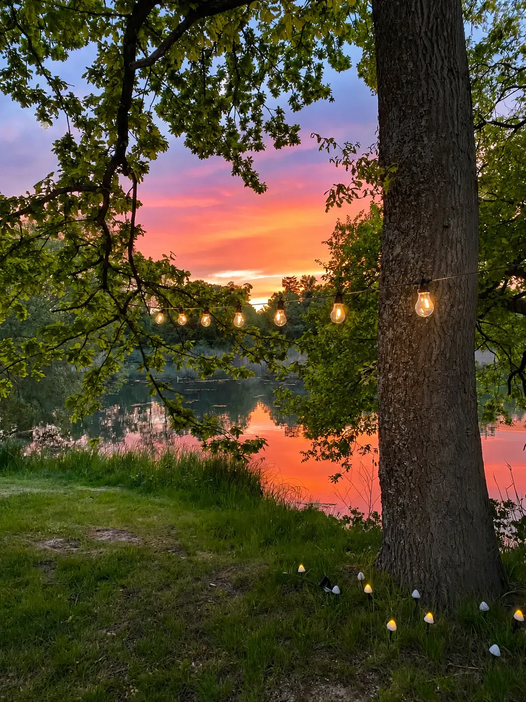 Campingbereich Seewiese mit Stellplätzen und Blick auf den Gederner See