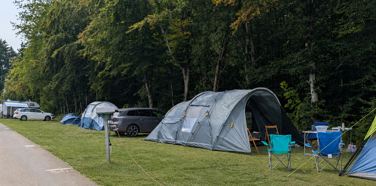 Campingbereich Nachtweide mit parzellierten Stellplätzen am Waldrand