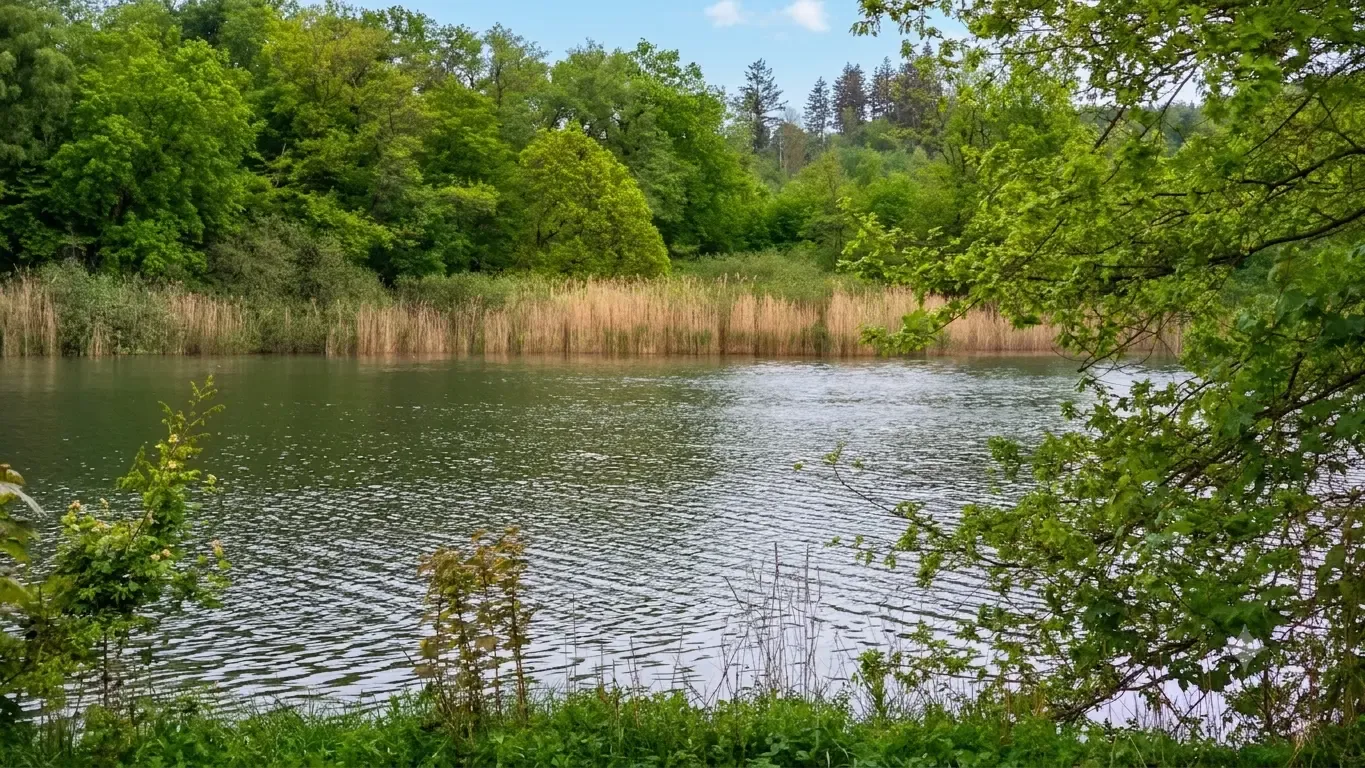 Campingbereich Seewiese mit Stellplätzen und Blick auf den Gederner See