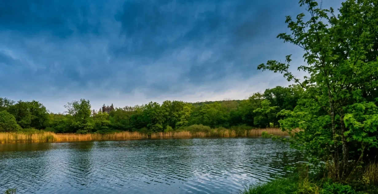 Campingbereich Seewiese mit Stellplätzen und Blick auf den Gederner See